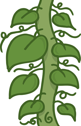 Beanstalk Clip Art, Vector Images & Illustrations