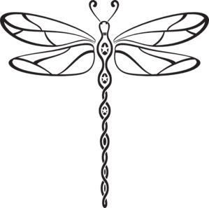 Dragonfly Meaning | Dragonfly ...