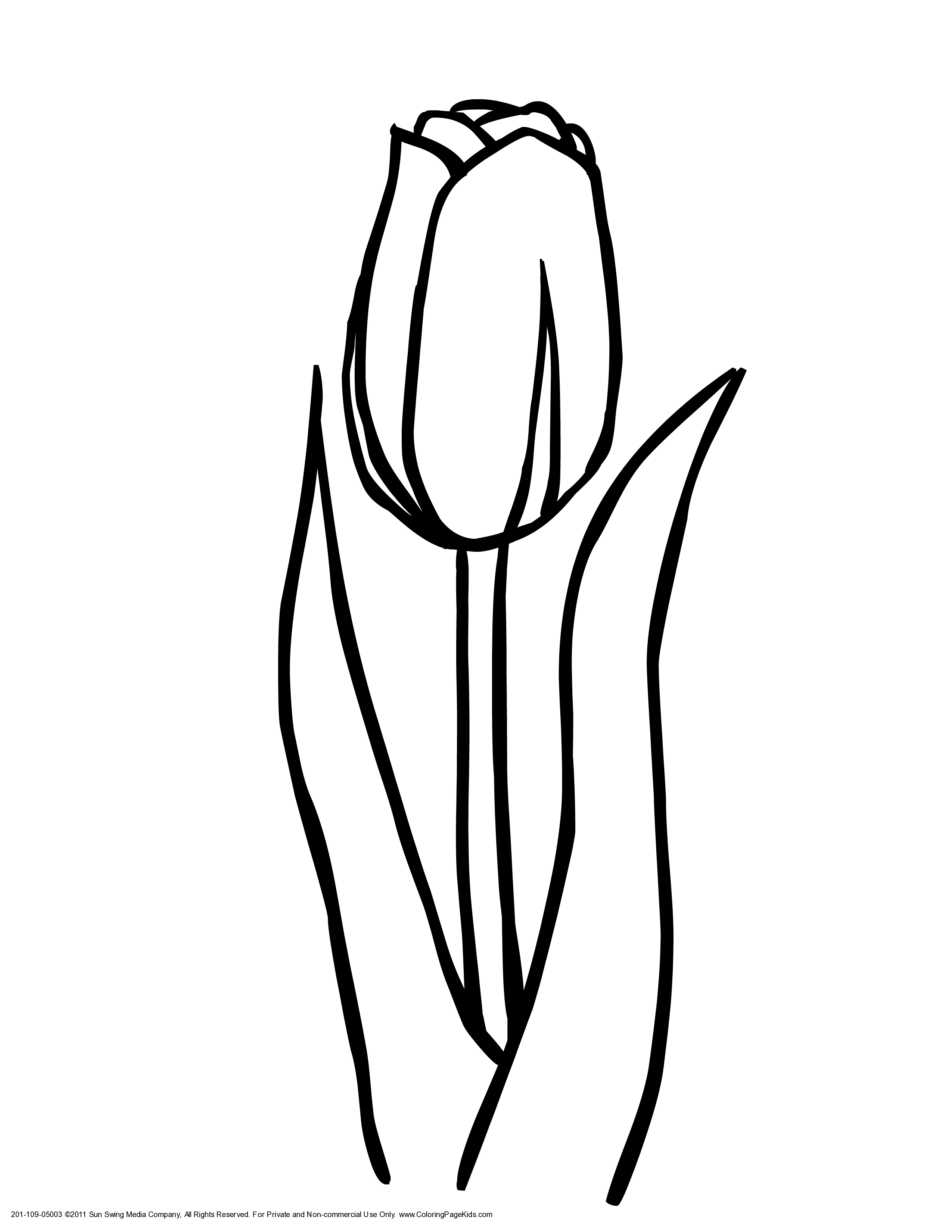 Coloring pages, Tulip and Coloring
