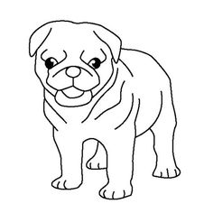Pug, Coloring pages and Coloring