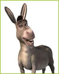 1000+ images about Donkeys!! | Shrek, Villas and Waffles