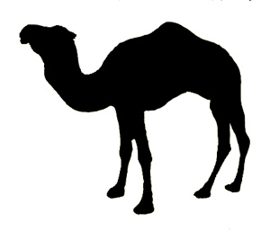 Graphics, Art and Camel