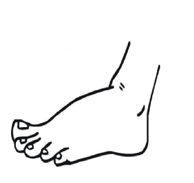 Coloring Pages of Left Human Foot | Coloring