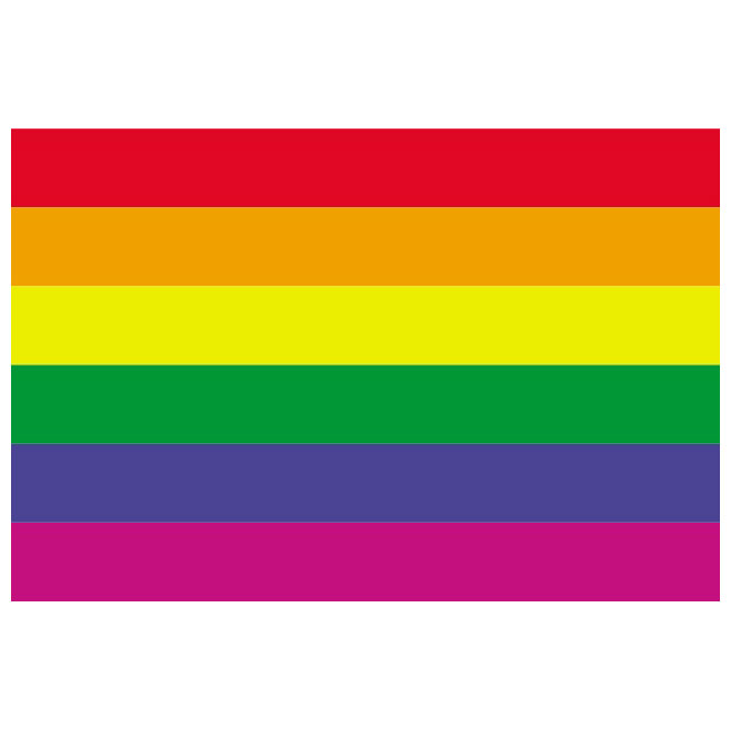 gay flag .png
