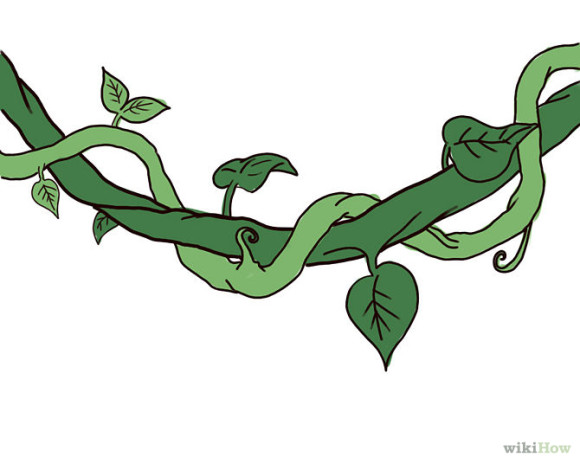 Jungle vine clipart - ClipartFox