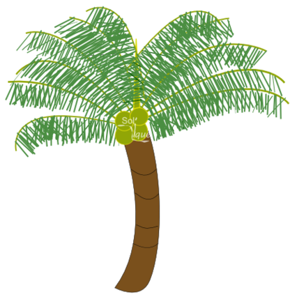 Coconut Tree Png Clipart - Free to use Clip Art Resource