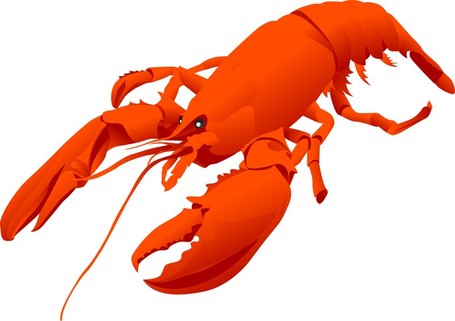 Clip art lobster clipart clipartix 2 - Cliparting.com