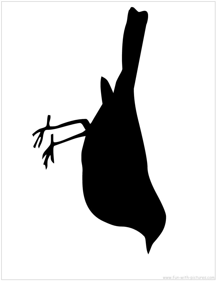 Cut out bird silhouette flying clipart