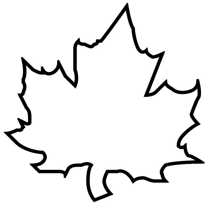 maple leaf outline printable