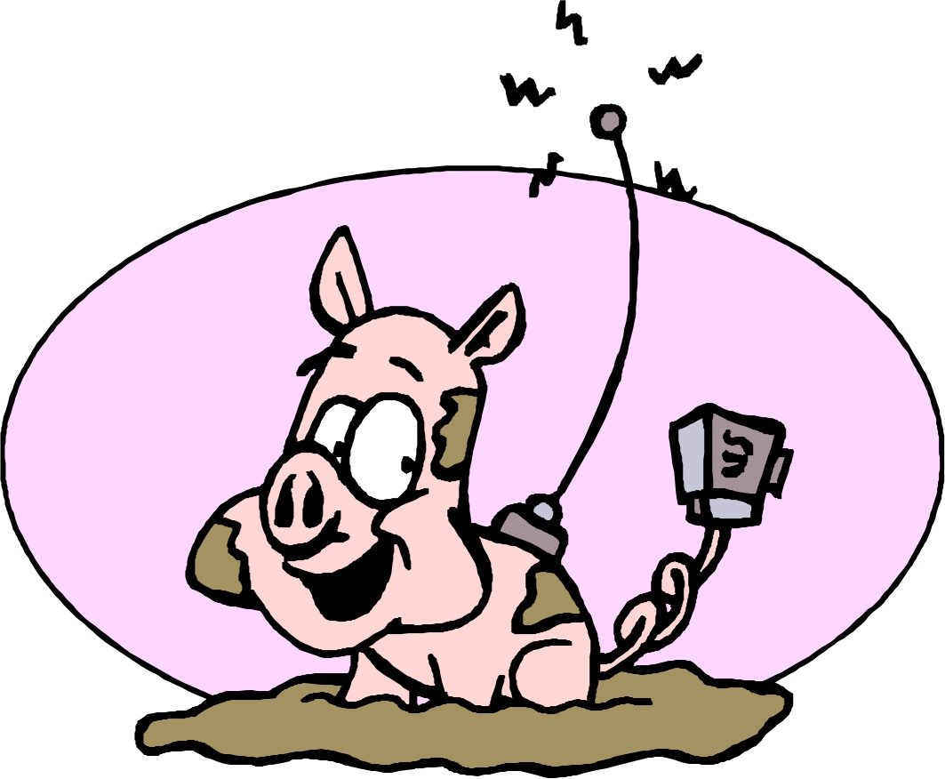 Muddy Pig Cartoon