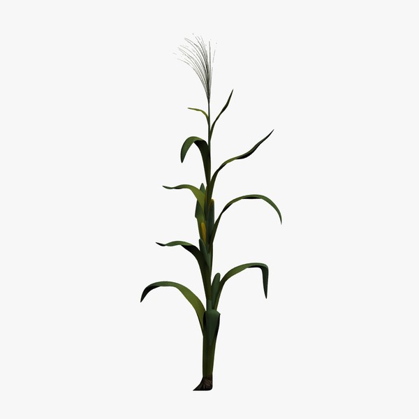 30+ Corn Stalk Images Clip Art - ClipArt Best - ClipArt Best.