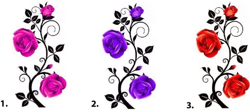 Pictures Of Roses And Vines - ClipArt Best