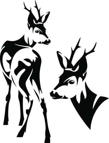 Roe Deer Clip Art Clip Art, Vector Images & Illustrations