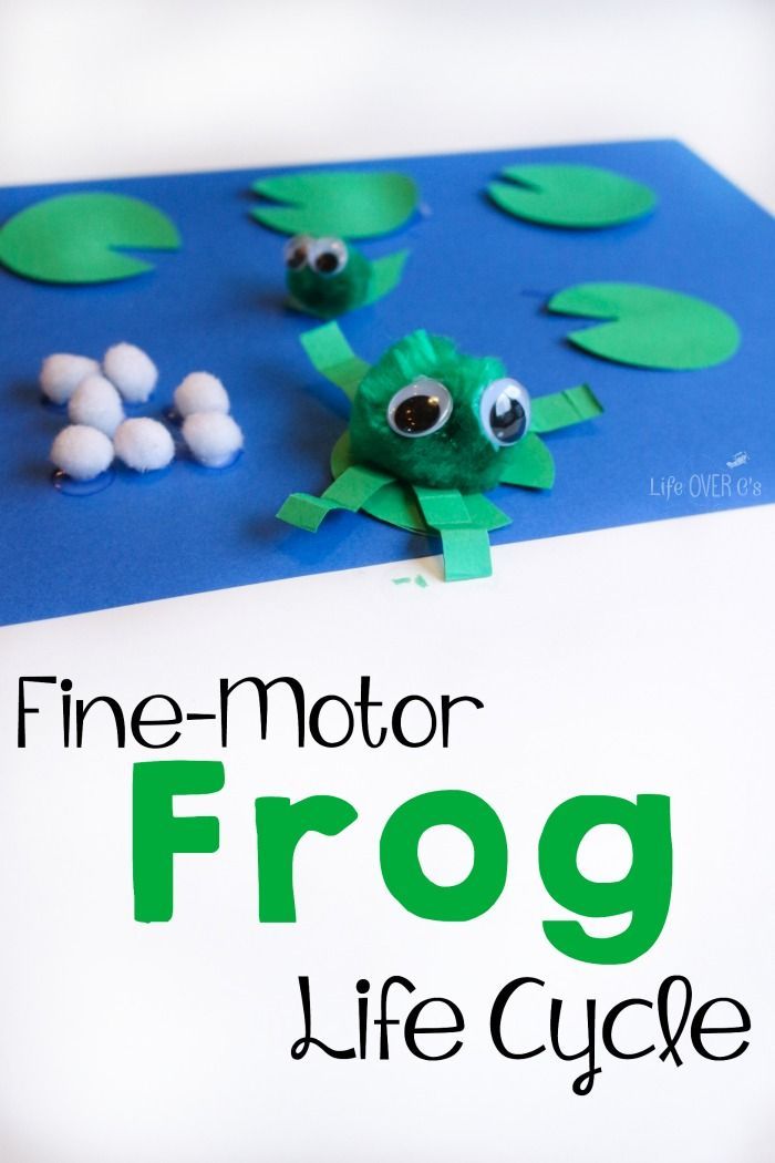 1000+ images about Spring: Frogs! Frogs! Frogs!