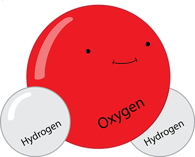 My Life as a Water Molecule - Ourboox