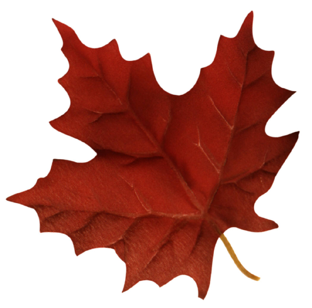 Canadian Maple Leaf Png - ClipArt Best