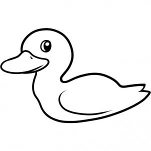 Animals - How to Draw a Duck for Kids