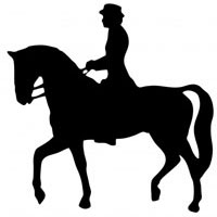 Notorious Equestrian and Sports Centre - Notorious Equestrian and ...