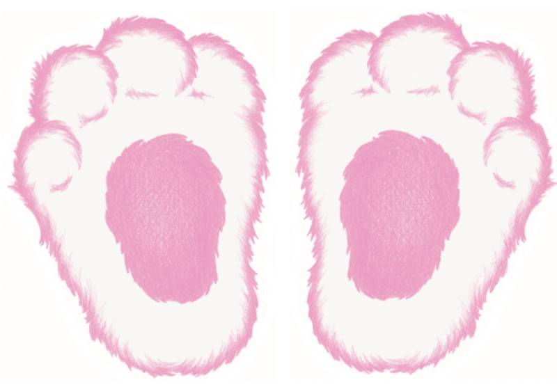 Template For Bunny Feet