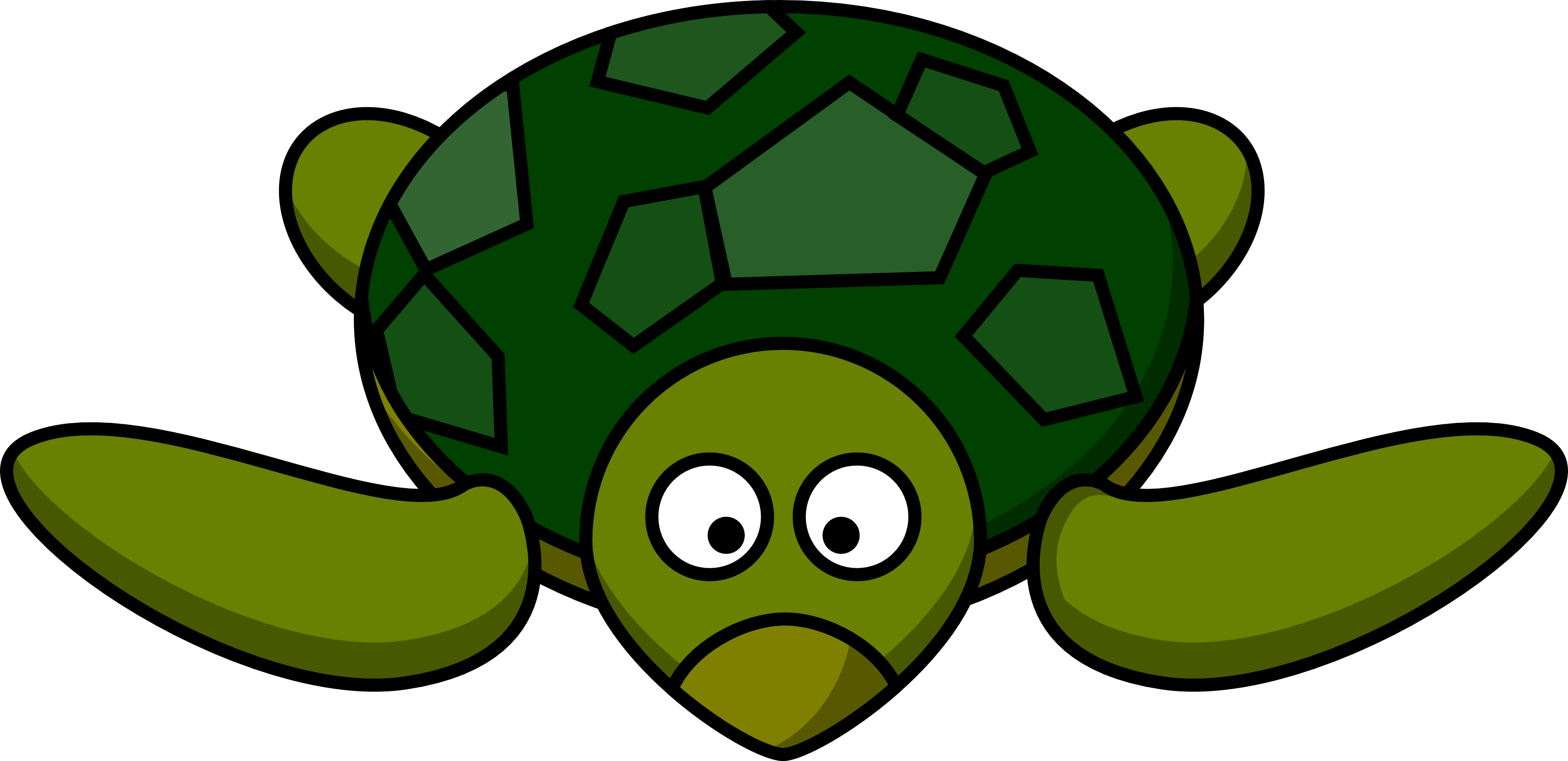 turtle clip art | Hostted