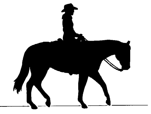 Imgs For > Cowboy On Horse Clip Art