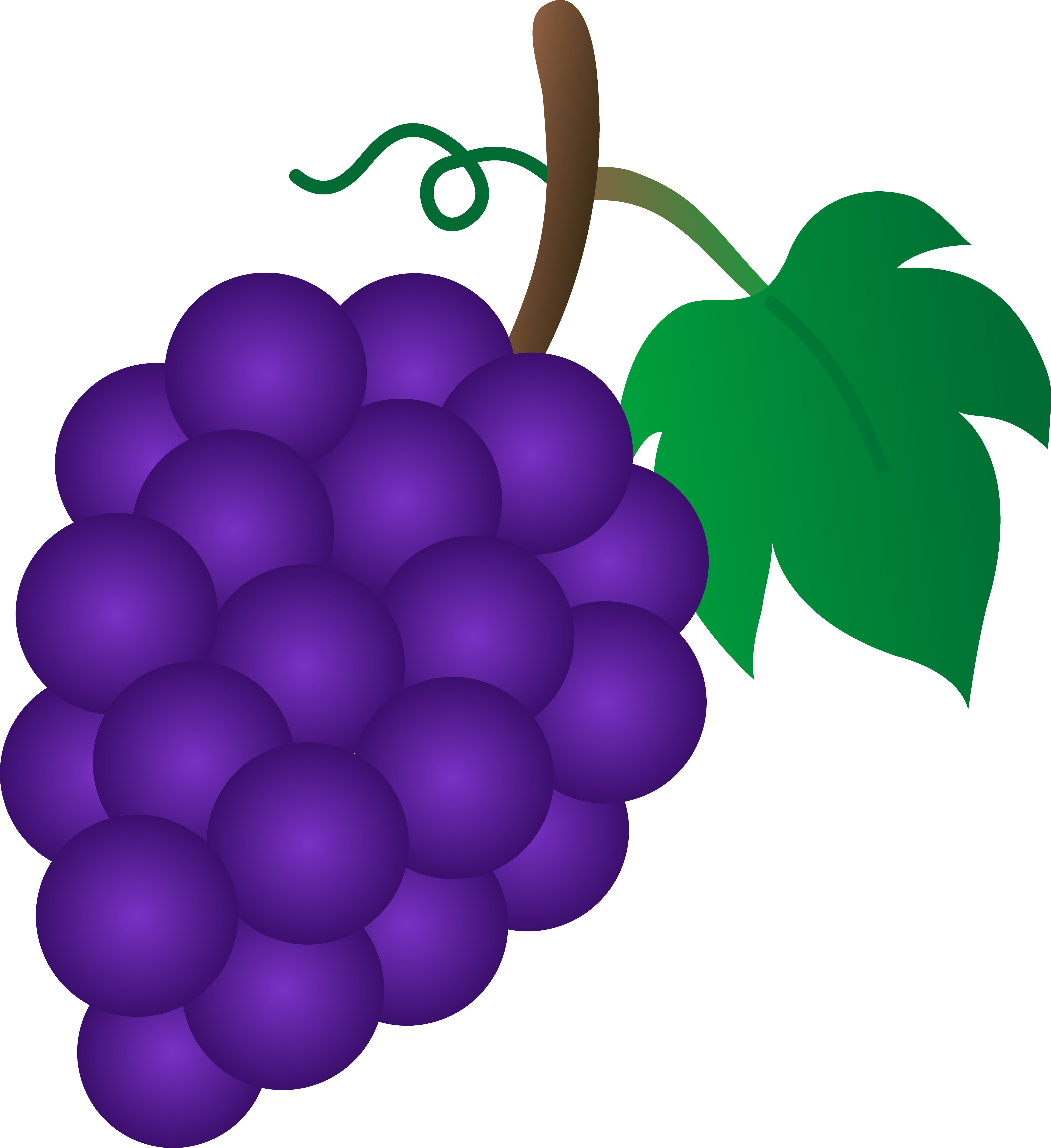 Vine Clipart | Free Download Clip Art | Free Clip Art | on Clipart ...