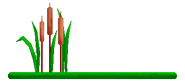 Cattail Clip Art - Three Cattails On Green Linebar