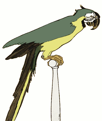 Free Parrots Clipart Images Graphics Animated Gifs Animations