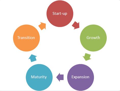 Moss Life Cycle Diagram - ClipArt Best