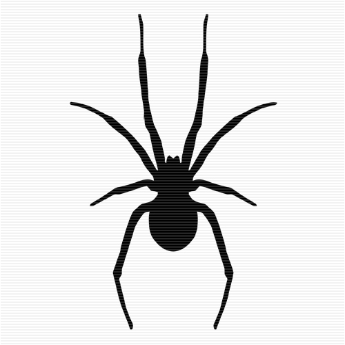 Spiders Clip Art - Tumundografico