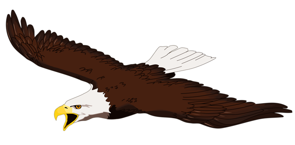 Free Eagle Clip Art Pictures - Clipartix