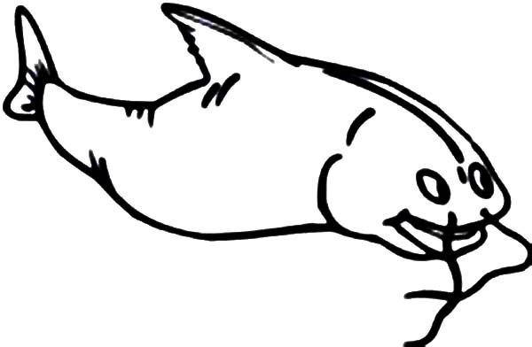 Pencil Sketch Catfish Coloring Pages: Pencil Sketch Catfish ...