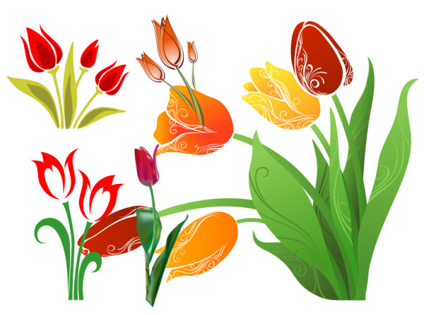 Tulip, vector file - 365PSD.com