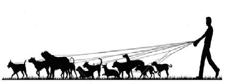Dog walking silhouette clipart