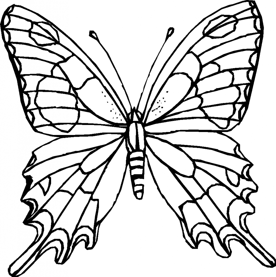 Black and white butterfly clipart