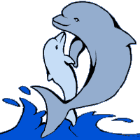 Clipart dolphins free