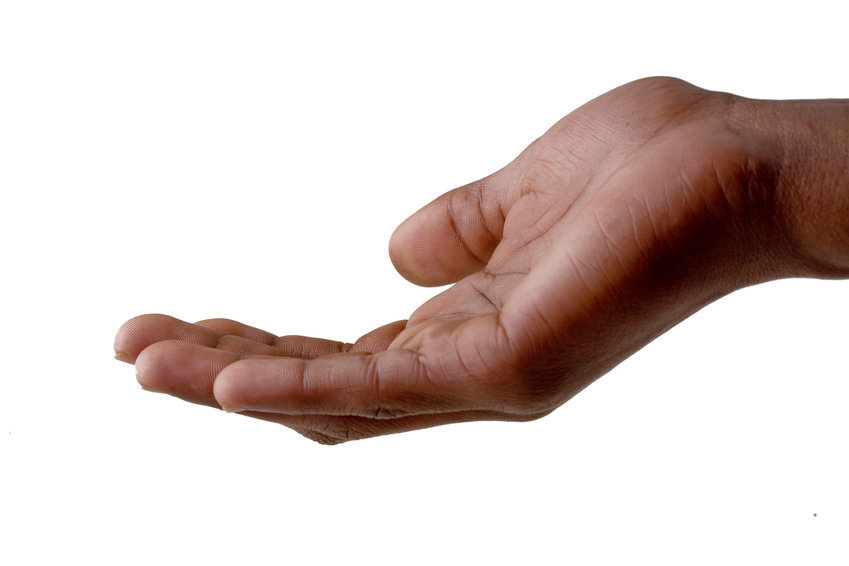 Transition between arm, hand occurs thanks to a genetic switch ...