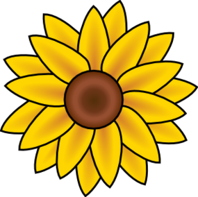 Sunflower Line Drawing Clipart - Free to use Clip Art Resource