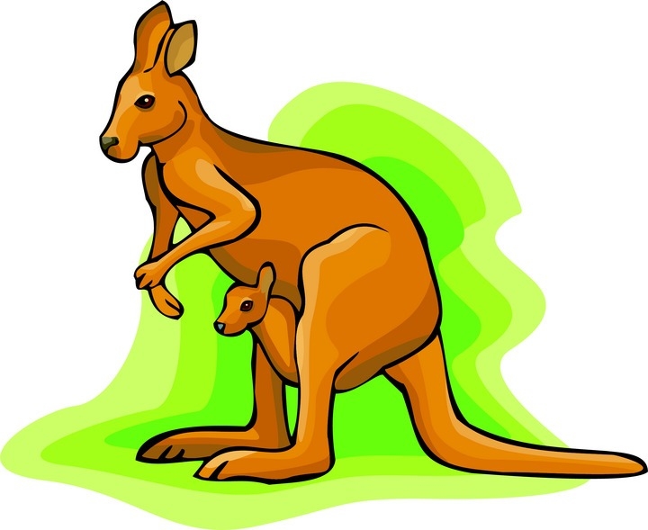 Kangaroo With Baby Clipart