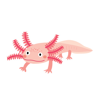 Salamander Clip Art, Vector Images & Illustrations