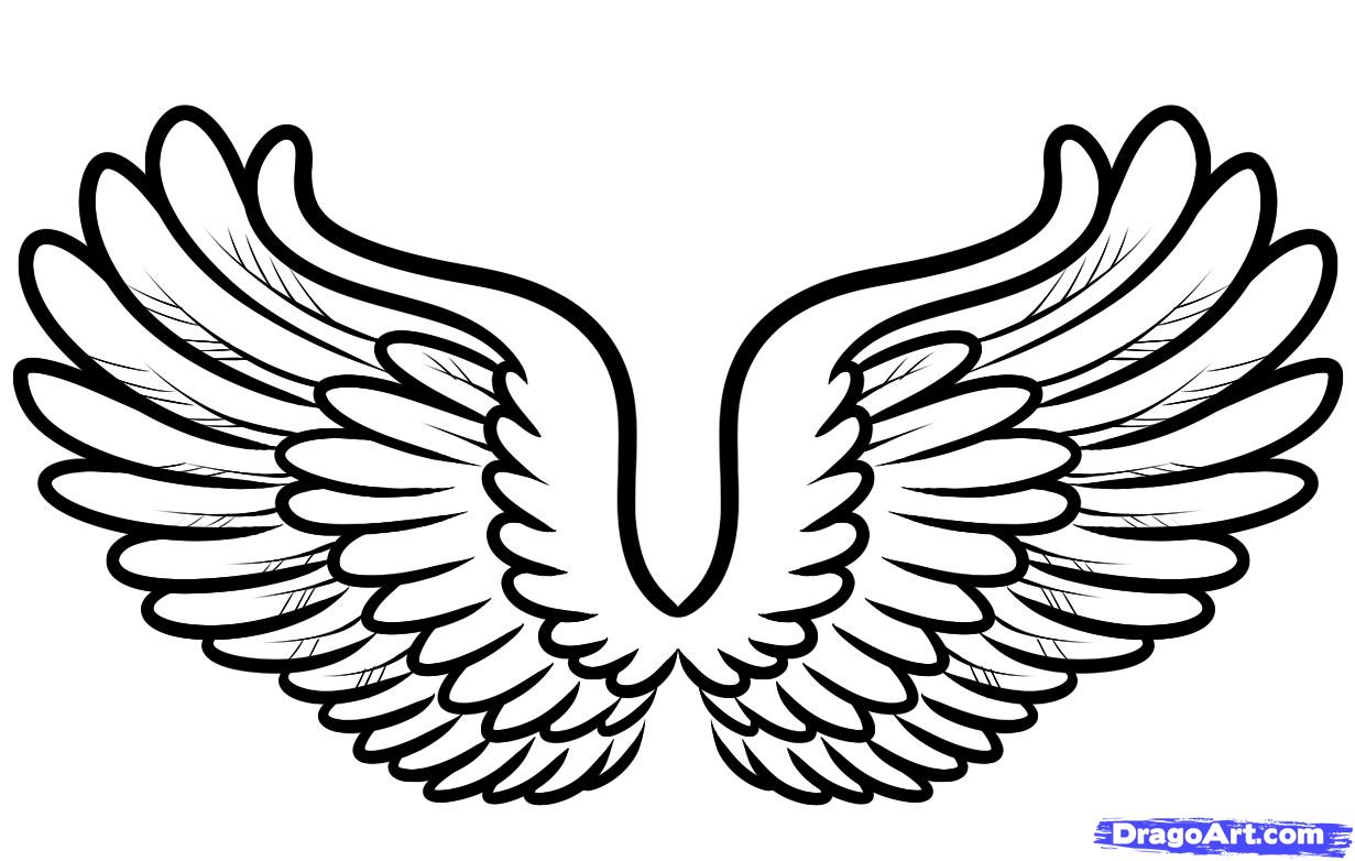 Angle Wings Cartoon - ClipArt Best