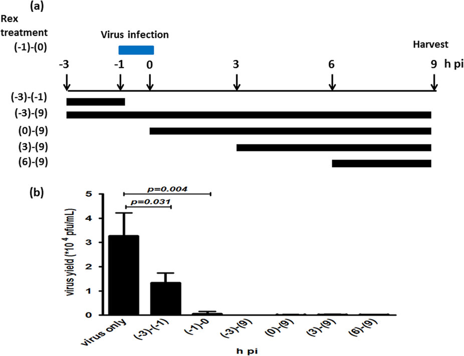 Inhibition of endosomal fusion activity of influenza virus by ...