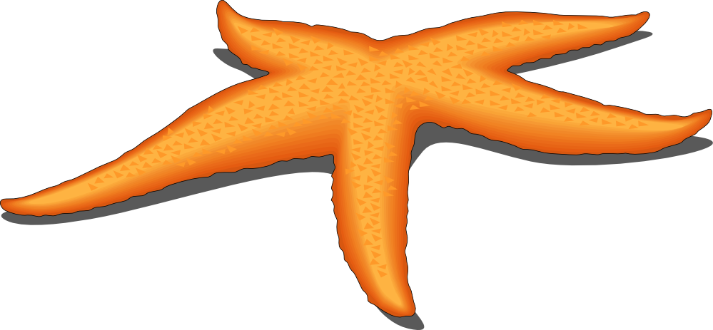 Clipart Starfish - Free Clipart Images