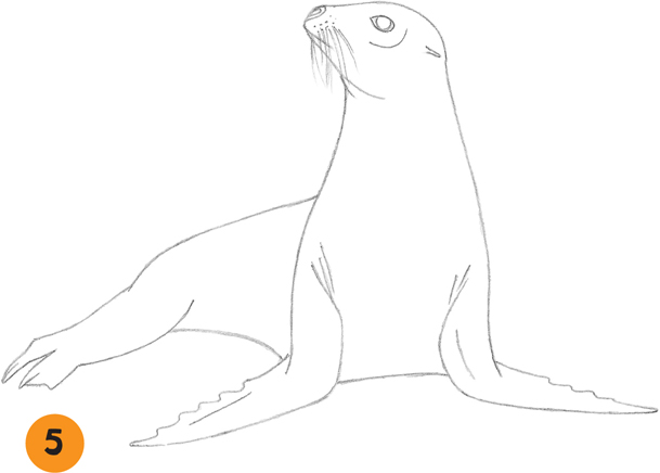 Sea Lion - Learn to draw: Sea Creatures [Book]