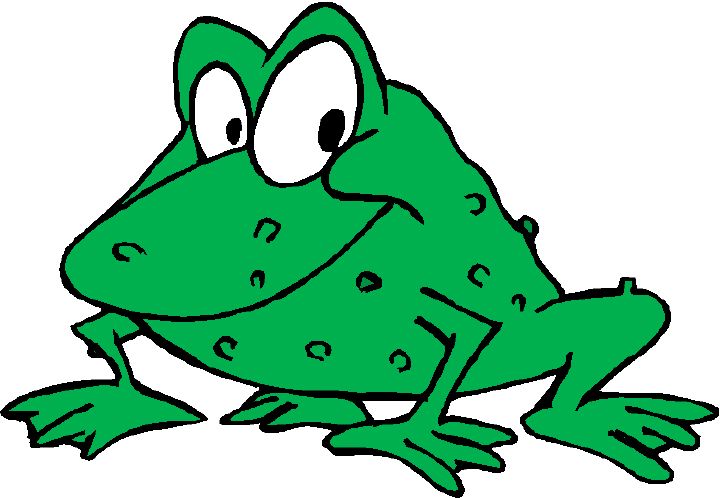 First Presbyterian Church of Edgewood :: FROGS