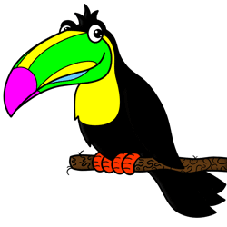 Draw a Cartoon Toucan