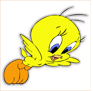 a brilliant nouna: about tweety