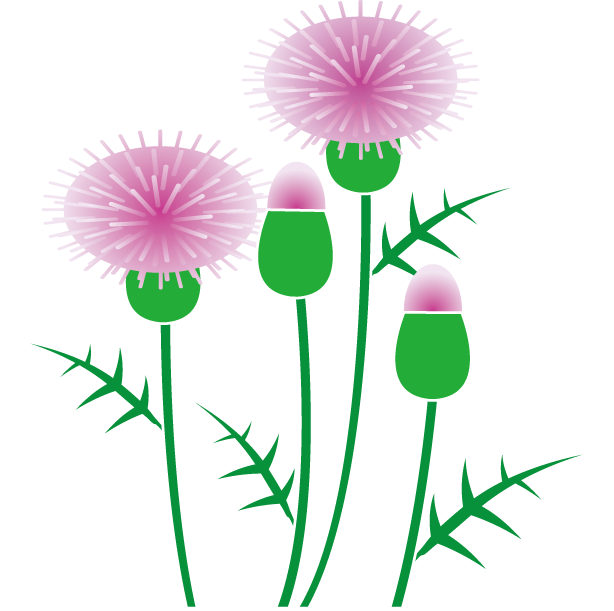 Thistle Clip Art