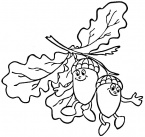 Oak Tree Outline coloring page | Super Coloring