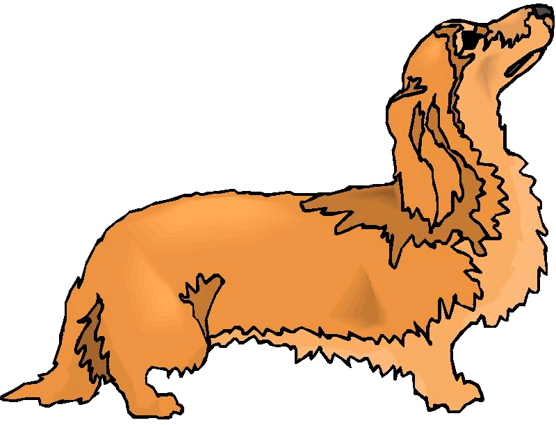 Cartoon Dachshund | Free Download Clip Art | Free Clip Art | on ...